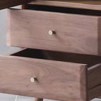 Meuble d'appoint marron à 2 tiroirs de style milieu du siècle avec porte à gaz