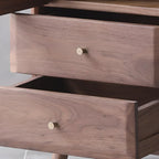 Meuble d'appoint marron à 2 tiroirs de style milieu du siècle avec porte à gaz